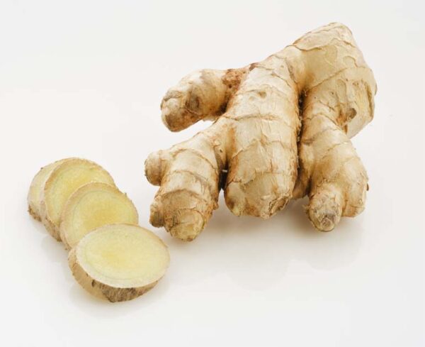 GINGER.jpg