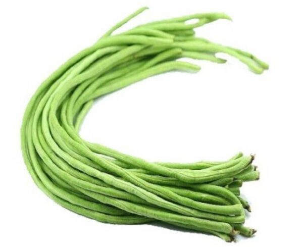 VALLI-PAYAR.jpg
